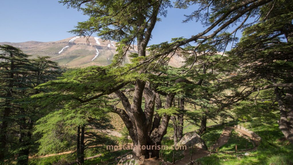 السياحة في لبنان 2023